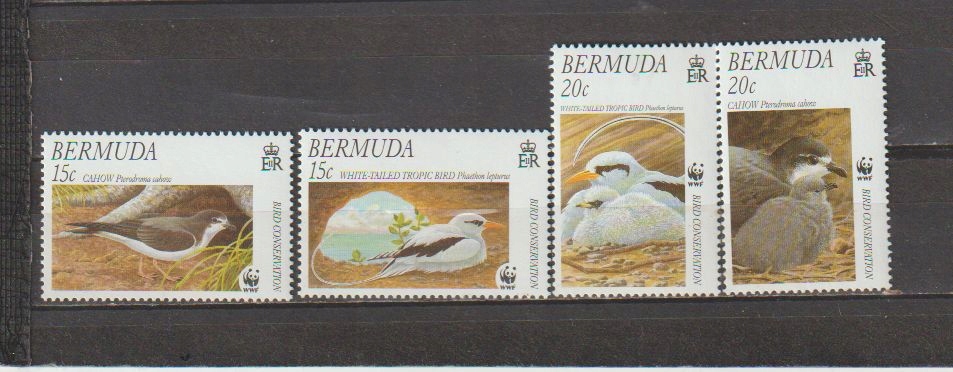 BERMUDA 2001, WWF