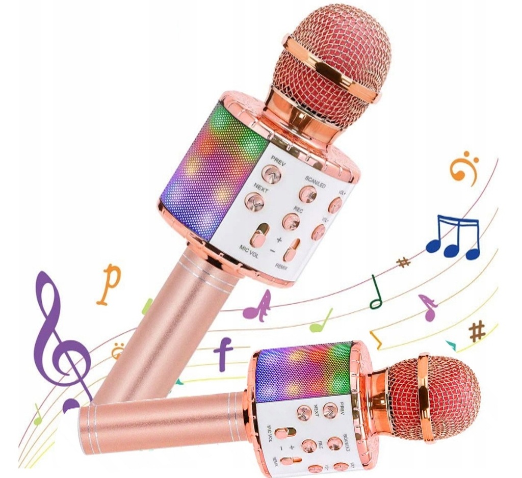 Mikrofon karaoke WS858 Bluetooth z głośnikiem i funkcją echa