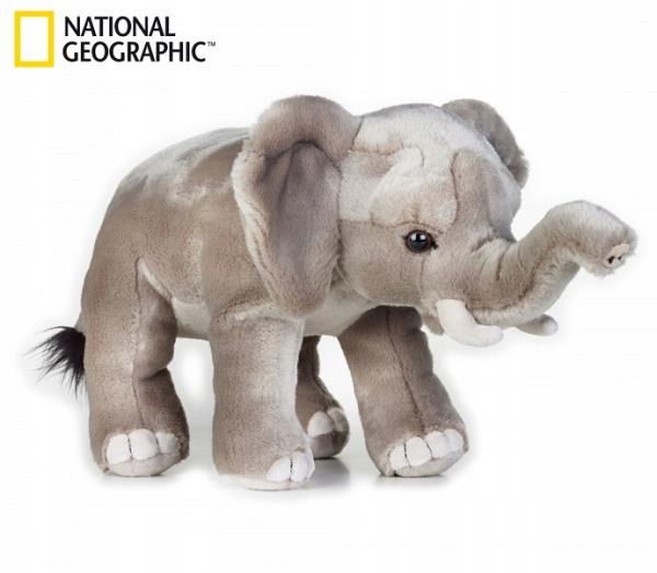 African Elephant Plush Toy Słoń afrykański Maskotk