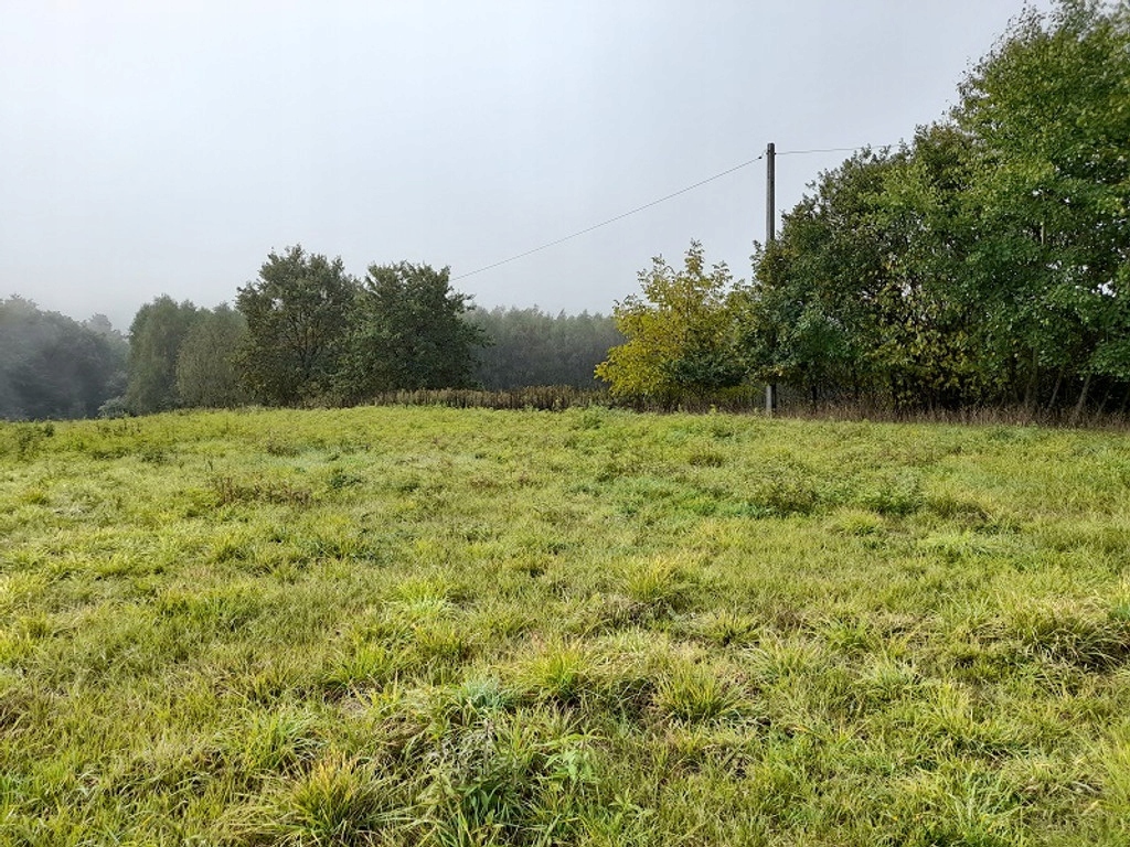 Działka, Zwiernik, Pilzno (gm.), 3800 m²
