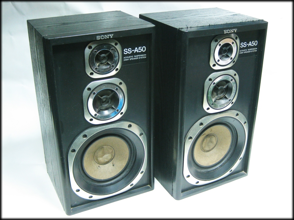 Kolumny SONY SS A50 2x80W p kowe pod ogowe 7763912683