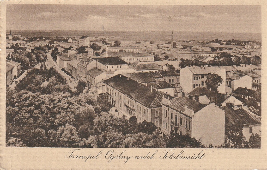 Tarnopol 12350336007 oficjalne archiwum Allegro