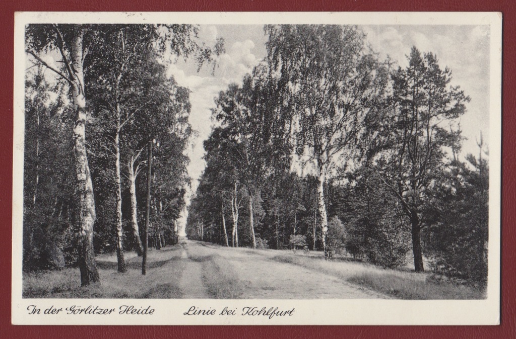 Zgorzelec Węgliniec Gorlitzer Heide Kohlfurt Puszcza Zgorzelecka droga