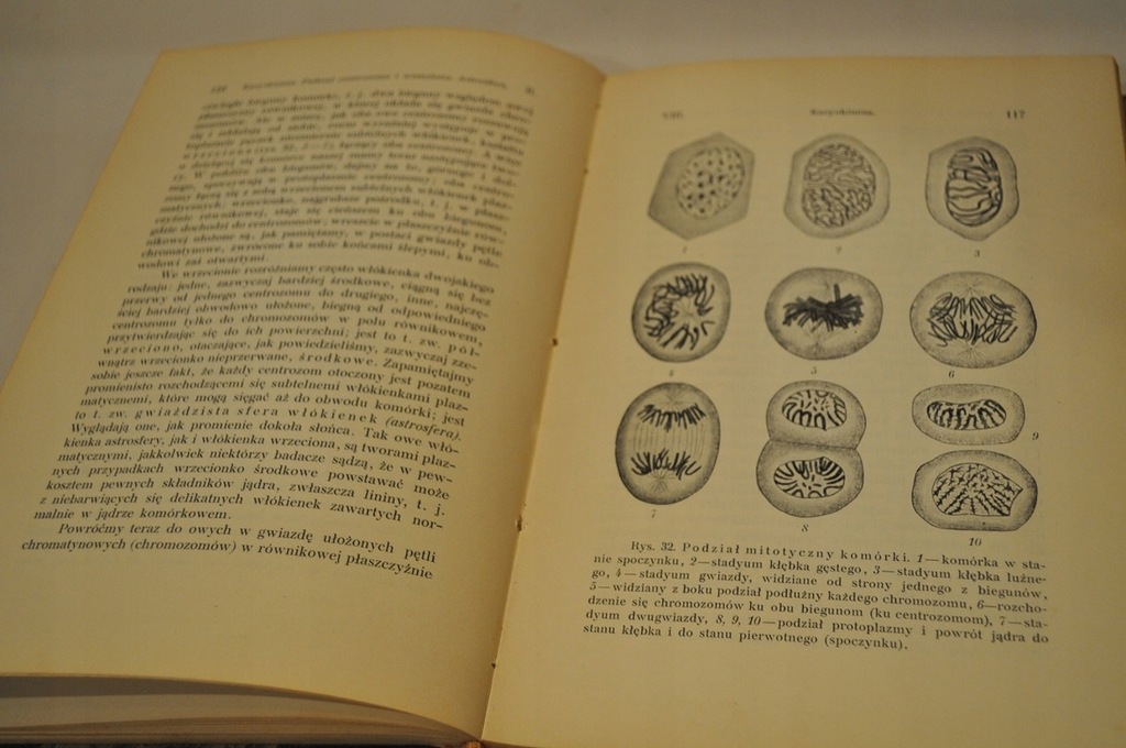 Купить 1912 ЭМБРИОЛОГИЯ 1-2 РАЗВИТИЕ ЖИВОТНОГО МИРА 986: отзывы, фото, характеристики в интерне-магазине Aredi.ru