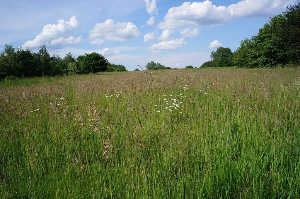 Działka, Łęki Górne, 3800 m²