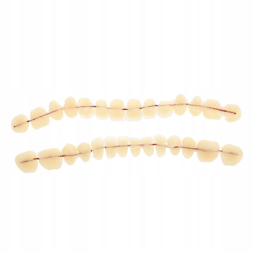Modele dentystyczne modeli zębów