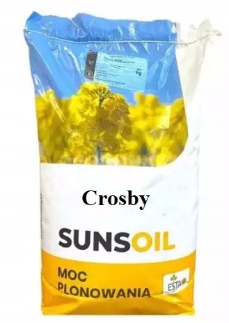 Rzepak ozimy Crosby nasiona kwalifikowane 9,6kg / 3ha