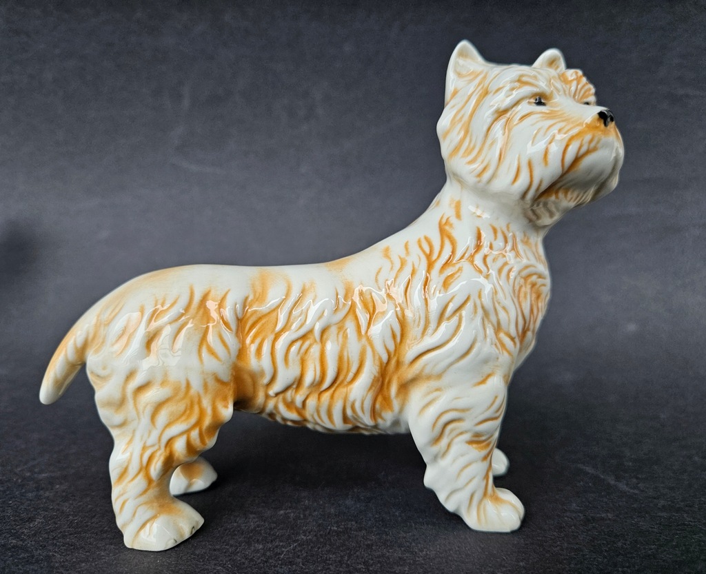 WEST WHITE TERRIER - CUDNA FIGURA - WAGNER&APEL