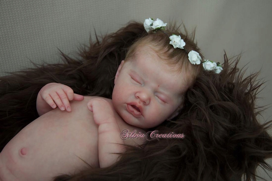 Indie by Laura Lee Eagles Reborn KIT 8505199168 oficjalne