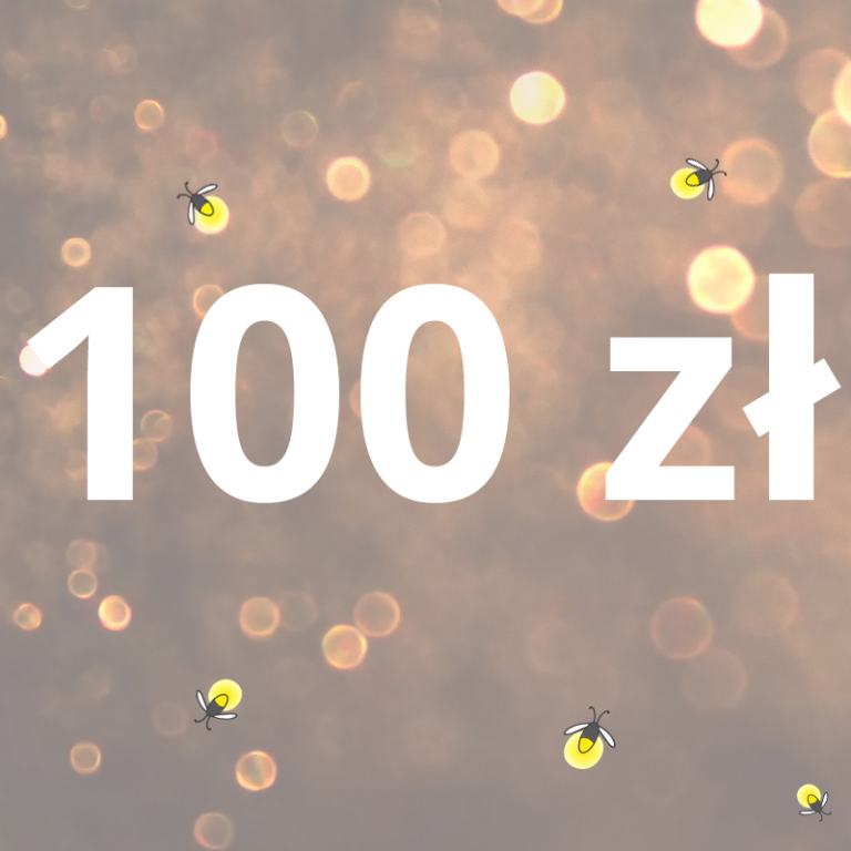 100zł Wirtualna Puszka Świetlikowo