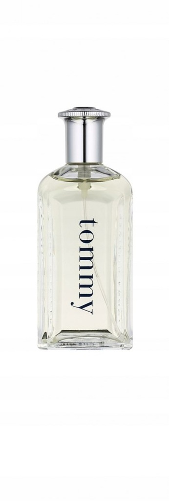 Tommy Hilfiger Tommy EDT M 100ml