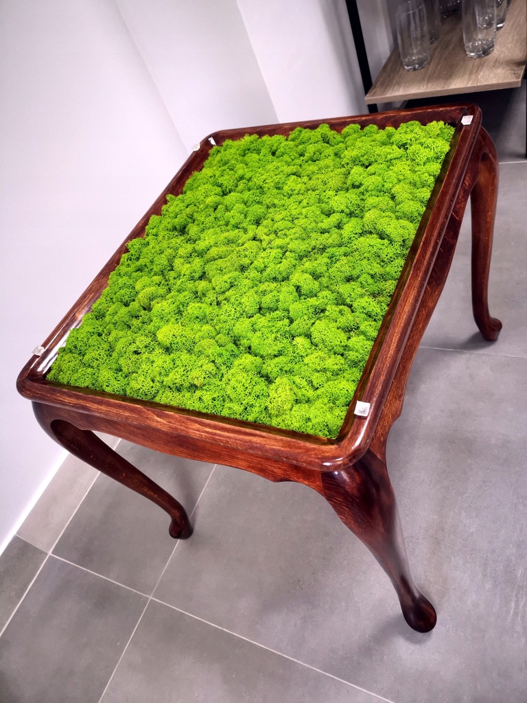 Stolik kawowy z mchem, salon, stół mech chrobotek