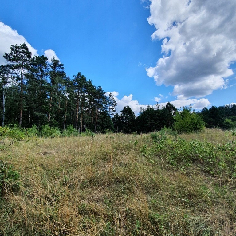 Działka, Stare Osieczno, Dobiegniew (gm.), 1066 m²