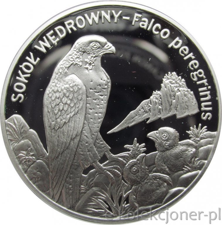 20 ZŁOTYCH 2008 - SOKÓŁ WĘDROWNY - MENNICZA -PM2816