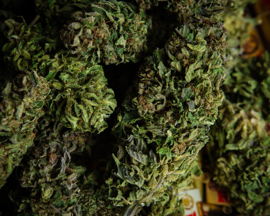 Polski susz konopny 8% CBD - Sassifaja 5g - polskie naturalne kwiaty