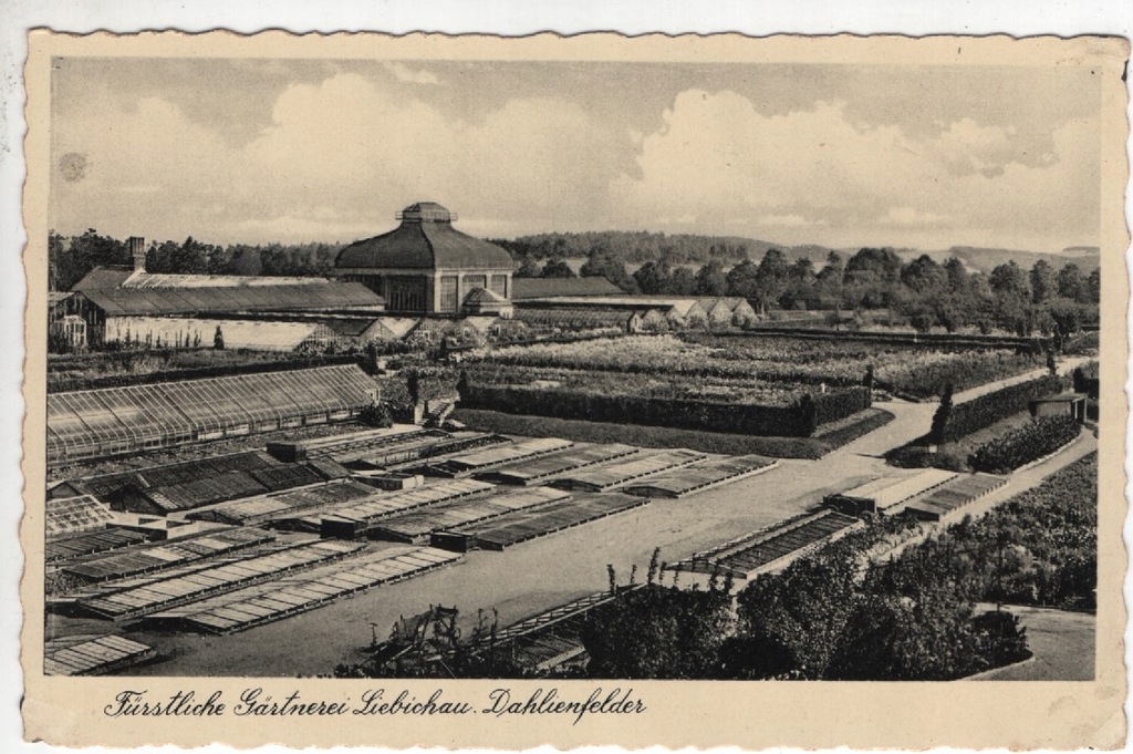 Lubiechów, Liebichau, Dahlienfelder, -1646