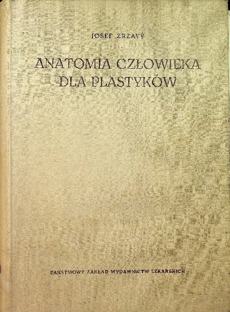 Anatomia człowieka dla plastyków