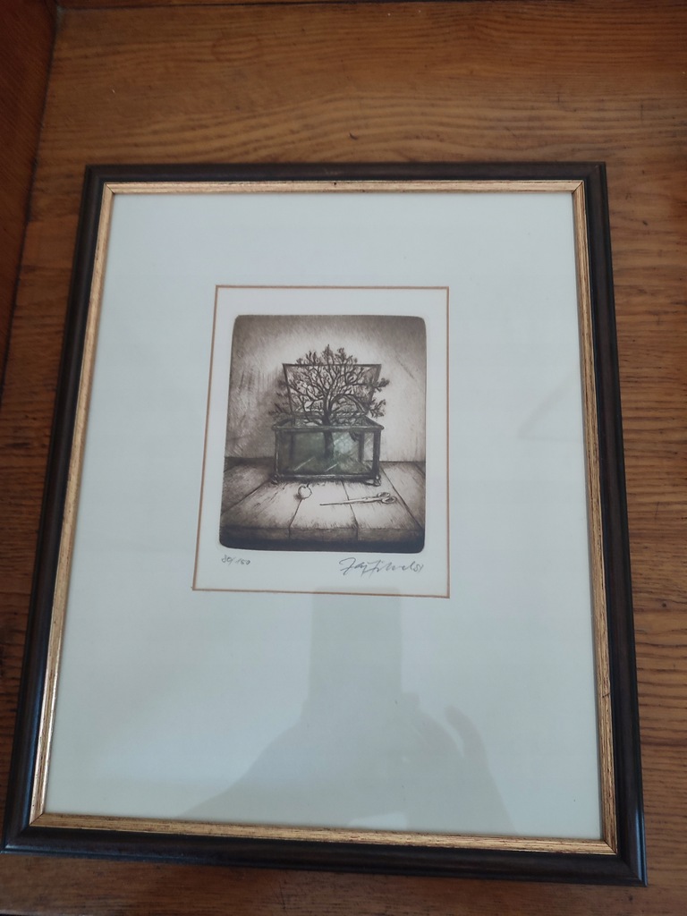 Grafika akwaforta sygnowana w oprawie