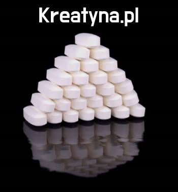 Kreatyna.pl Domena internetowa kreatyna suplementy odżywki fitness siłownia