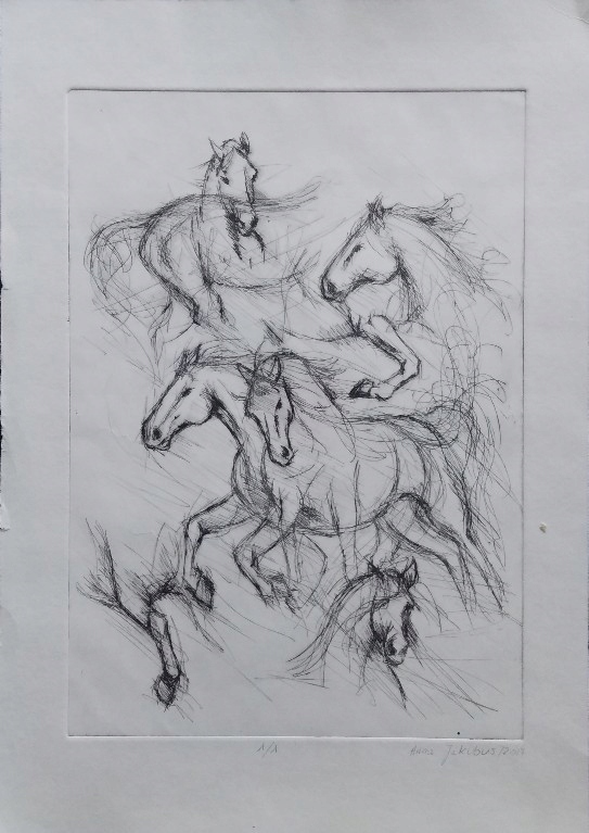 Konie, grafika, szkice