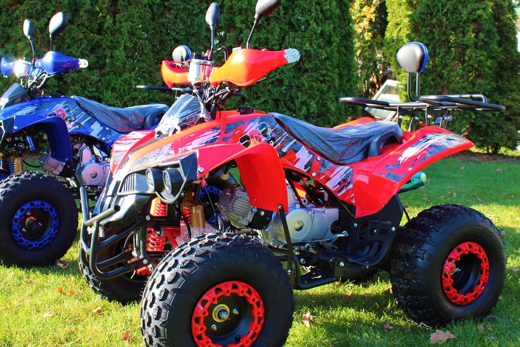 Купить Модель QUAD 125 CC Varia PRO XXL 2020 Халява!!!: отзывы, фото, характеристики в интерне-магазине Aredi.ru