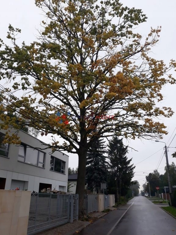 Dom, Piaseczno, Piaseczno (gm.), 135 m²