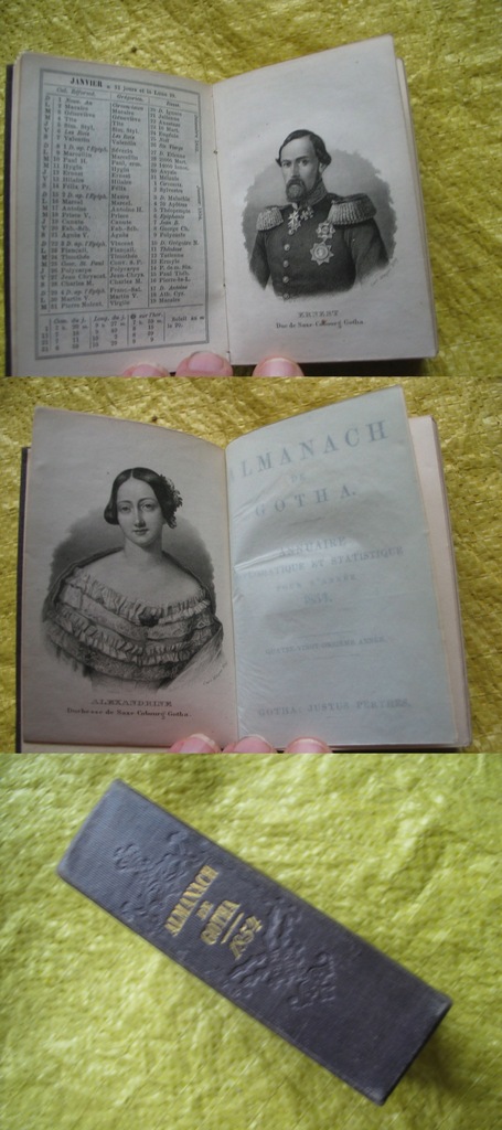 ALMANACH GOTHA genealogia ARYSTOKRAC 6 plansz 1854