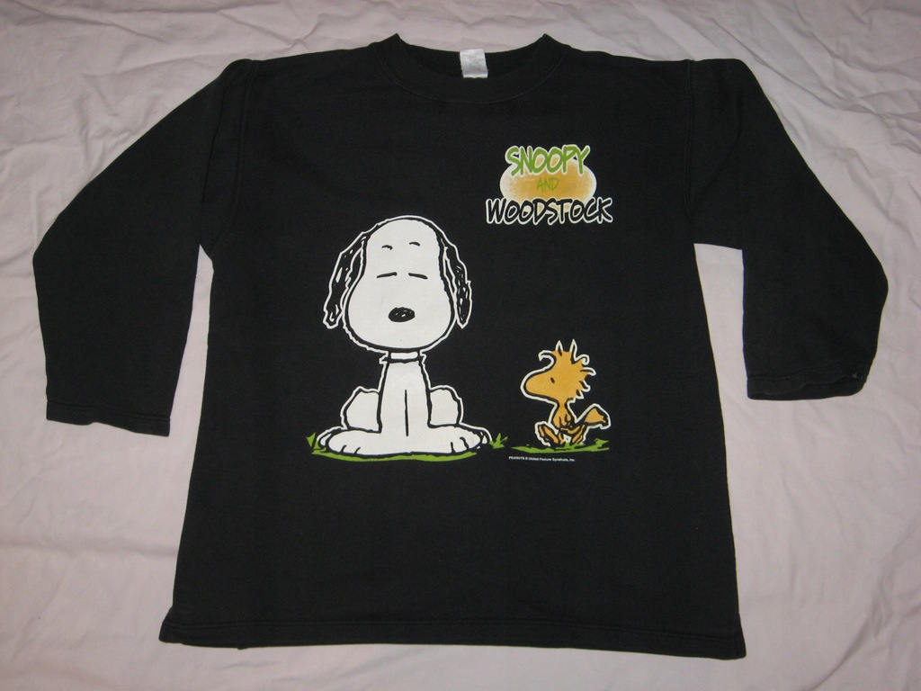 Bluza długi rękaw Snoopy 152 Woodstock bawełna
