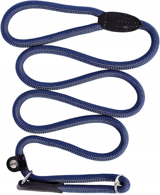 lionto Smycz dla psa 170 cm niebieska