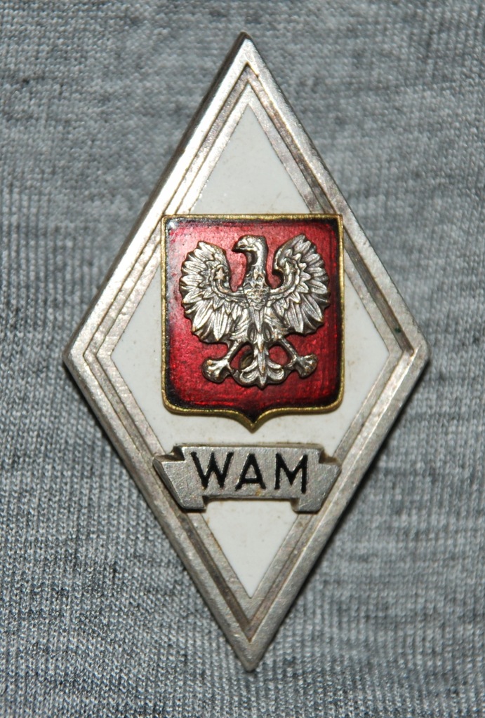 Odznaka absolwentka WAM
