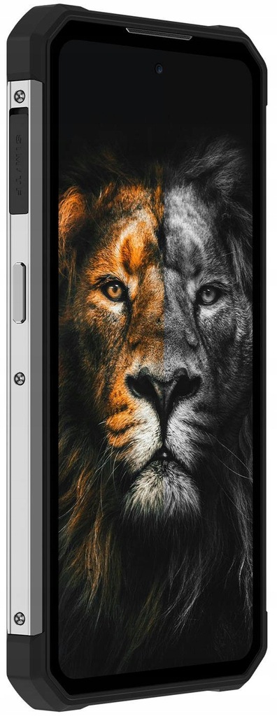Smartphone Oukitel WP17 8300 mAh 8/128 DS. Black