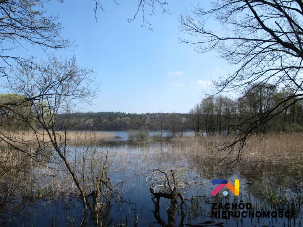 Działka, Rybojady, Trzciel (gm.), 1014 m²