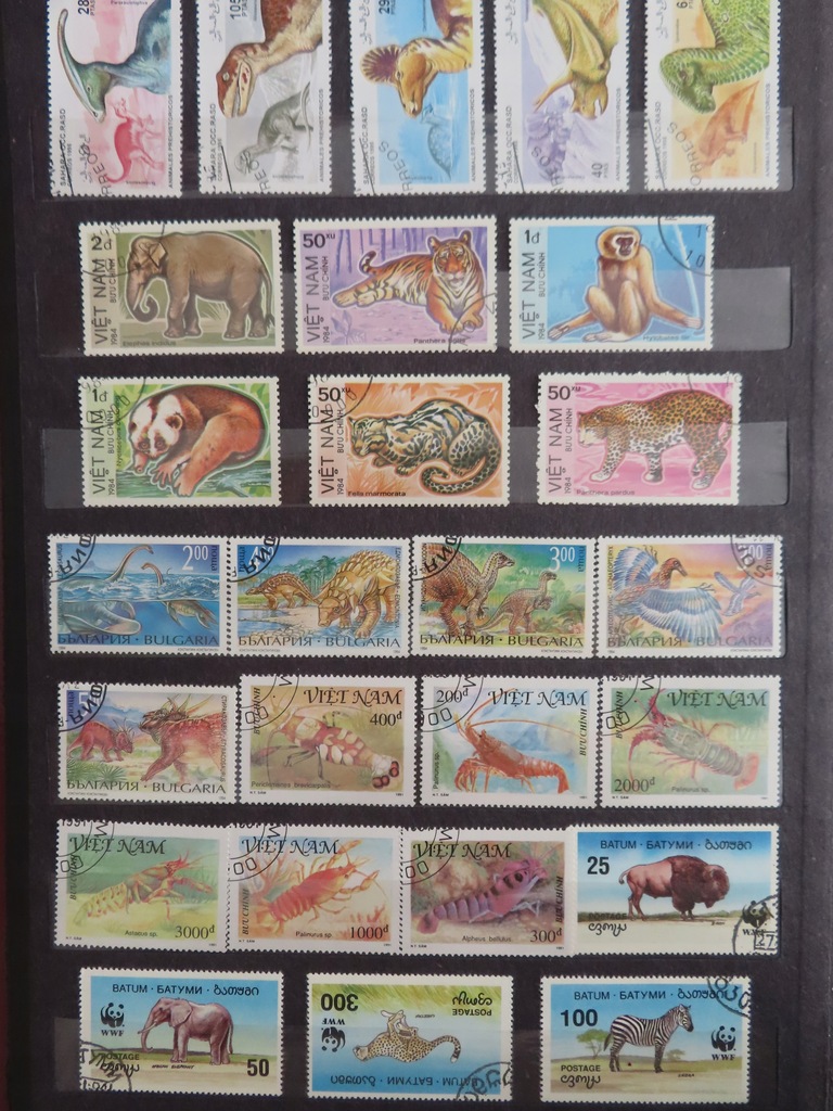 Zestaw znaczków Fauna D4462