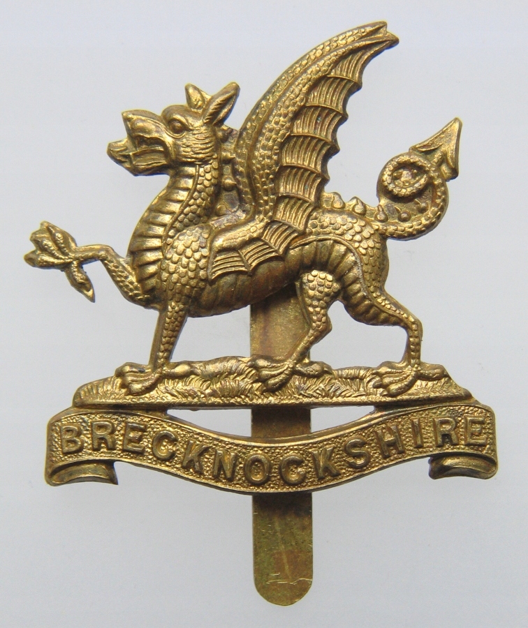 Brecknockshire brąz
