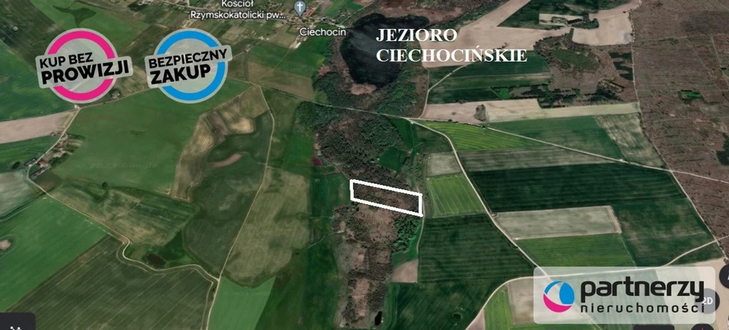 Działka, Ciechocin, 15000 m²