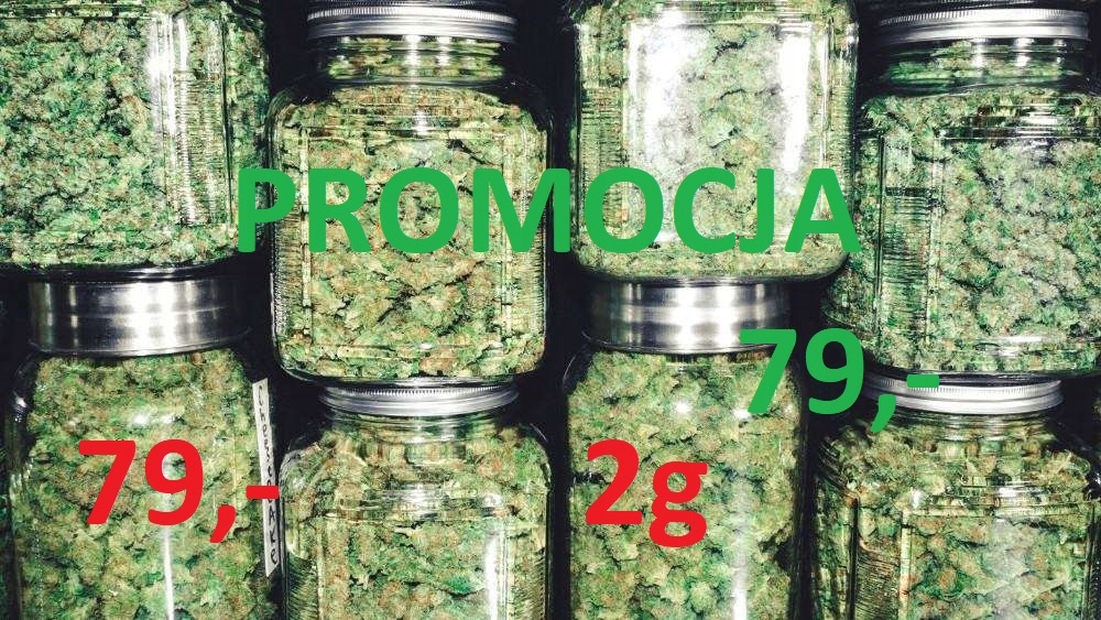 susz konopny cbd 6% thc<0,2% 2g 79zł gratis