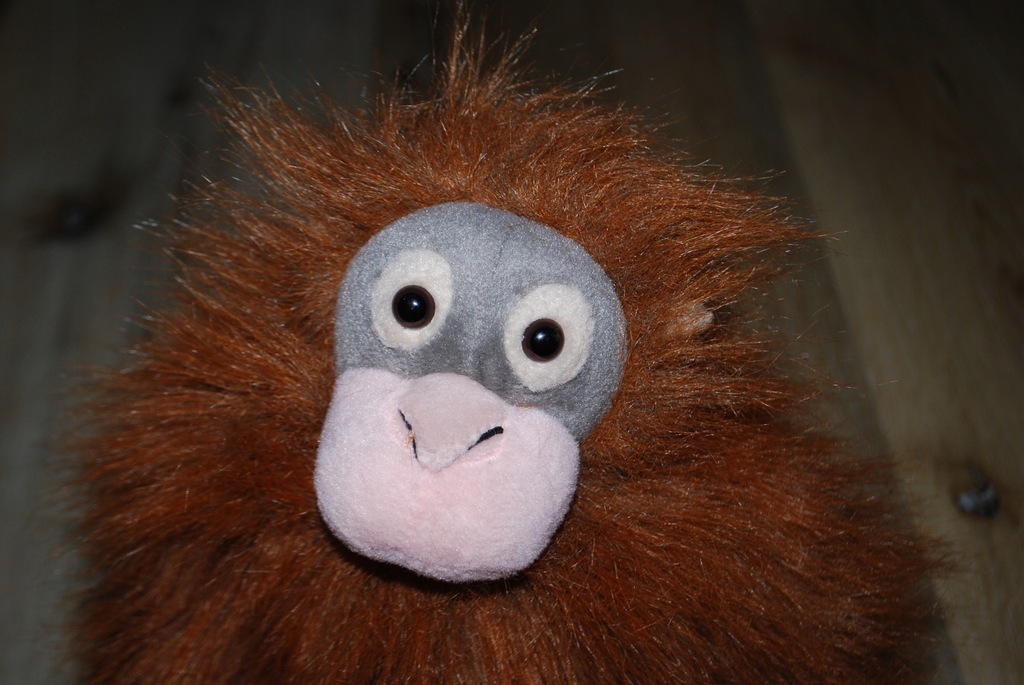 pluszak maskotka fajny orangutan K&M 35 cm