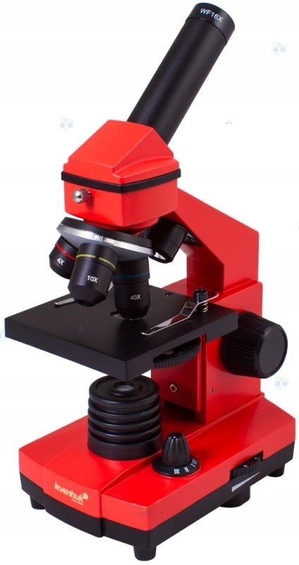 Mikroskop Levenhuk Rainbow 2L PLUS Orange\Pomarańc