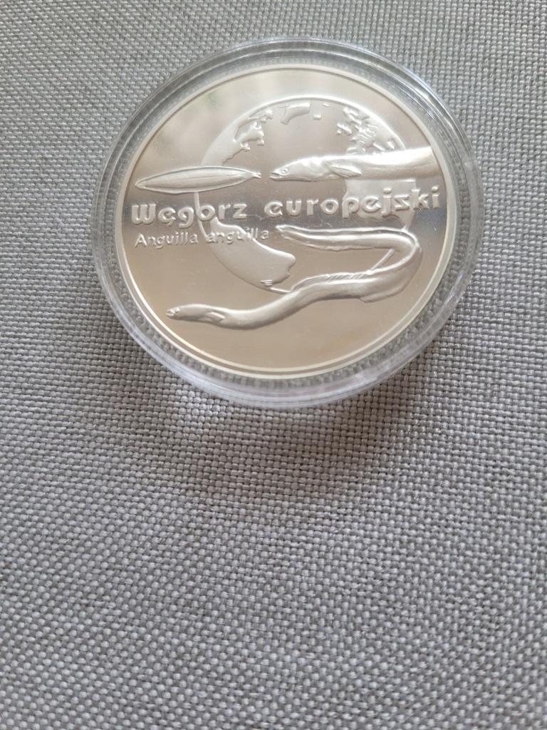 Moneta kolekcjonerska węgorz europejski 2003