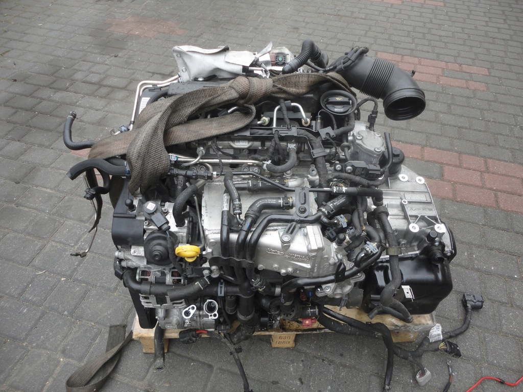 Silnik Audi A3 8v 2 0 Tdi Cun 184 Km Kompletny 7423192876 Oficjalne Archiwum Allegro