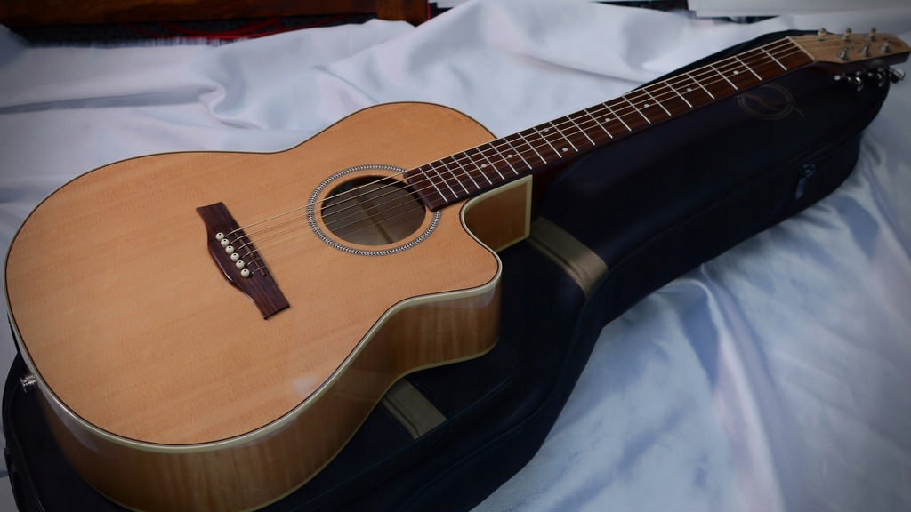 Seagull performer cw folk flame maple hg qit deals