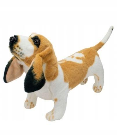 BASSET 44CM, DUBI