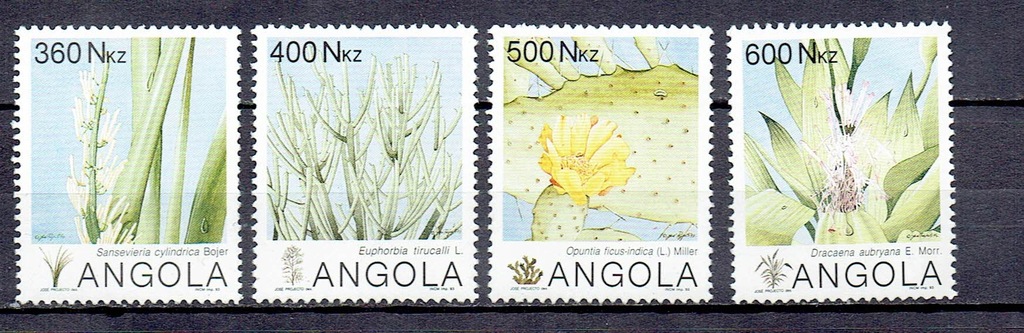 ANGOLA- 1993 . SUKULENTY. **