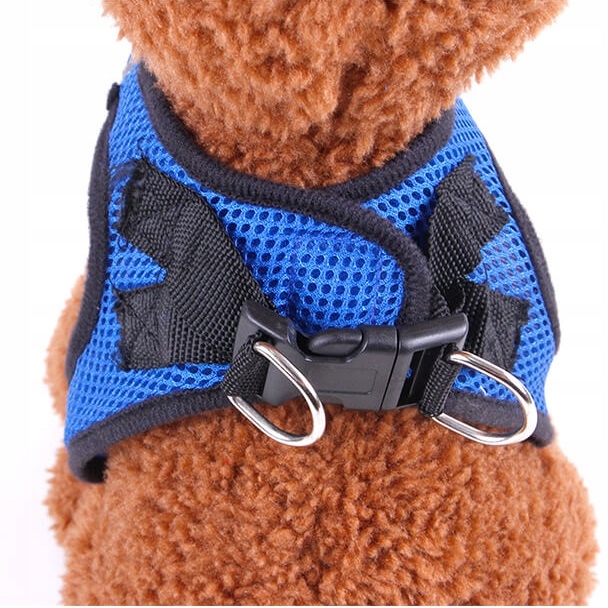 Szelki dla małego psa kota S + SMYCZ DO AUTA - 8545248260 - oficjalne