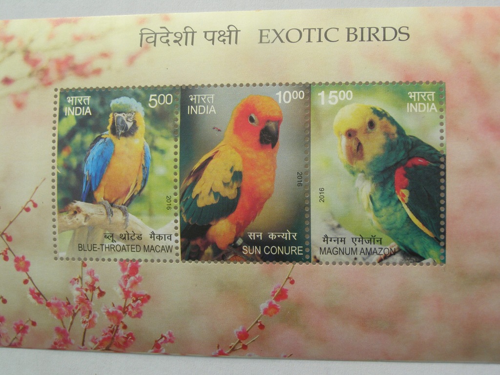 Indie - ptaki egzotyczne - papugi - Mi. bl.149 **