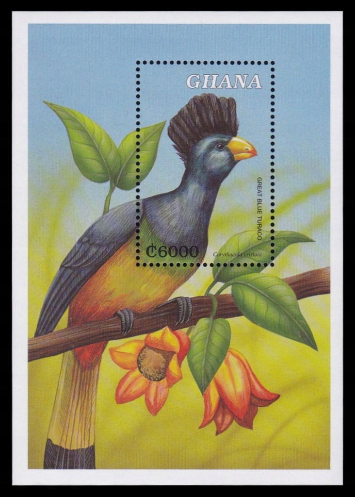 GHANA - PTAKI - 2000 r. - MNH(**)