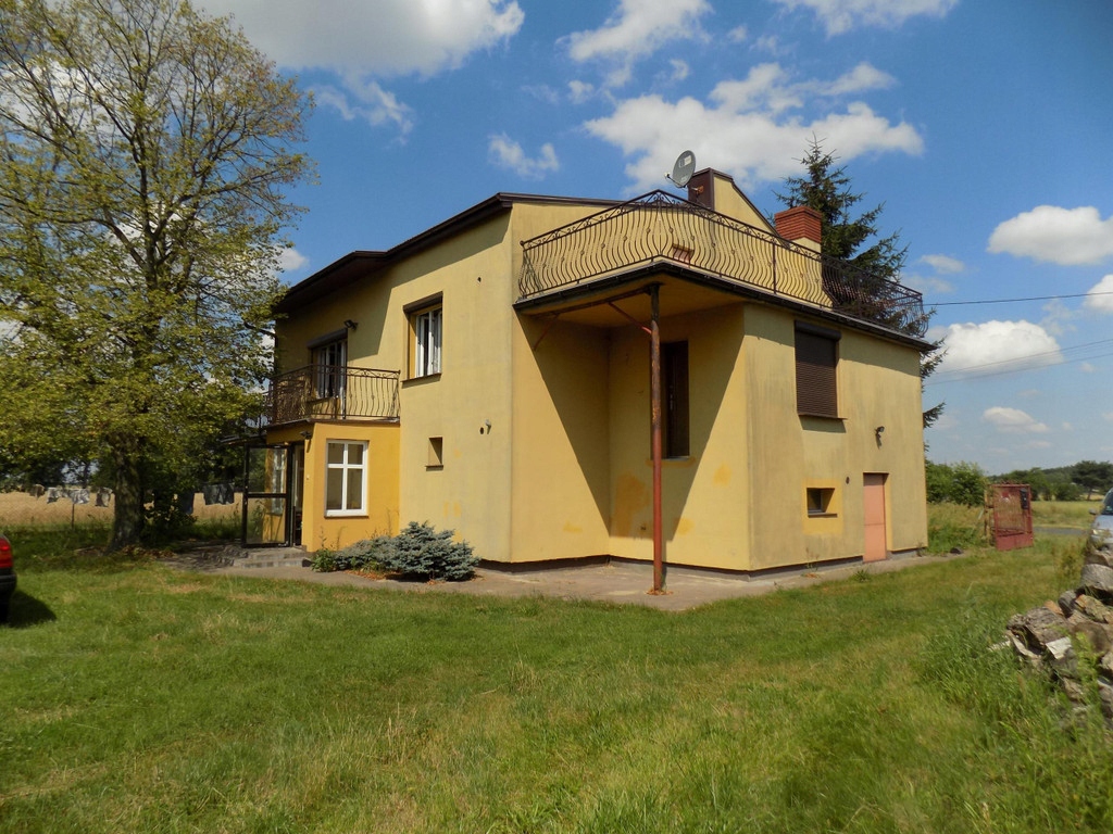 Dom, Stawiszyn, Stawiszyn (gm.), 220 m²