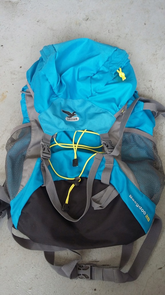 salewa baegdoo