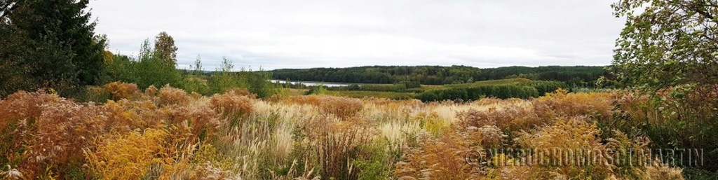 Działka, Dobiegniew, Dobiegniew (gm.), 5000 m²