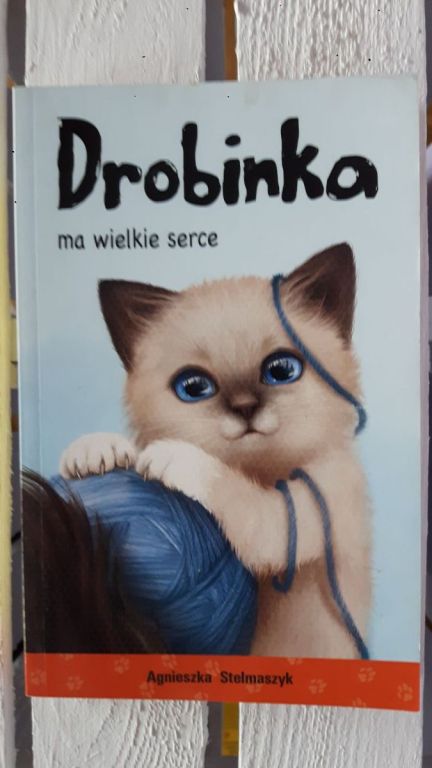 Książka Drobinka ma wielkie serce A. Stelmaszyk